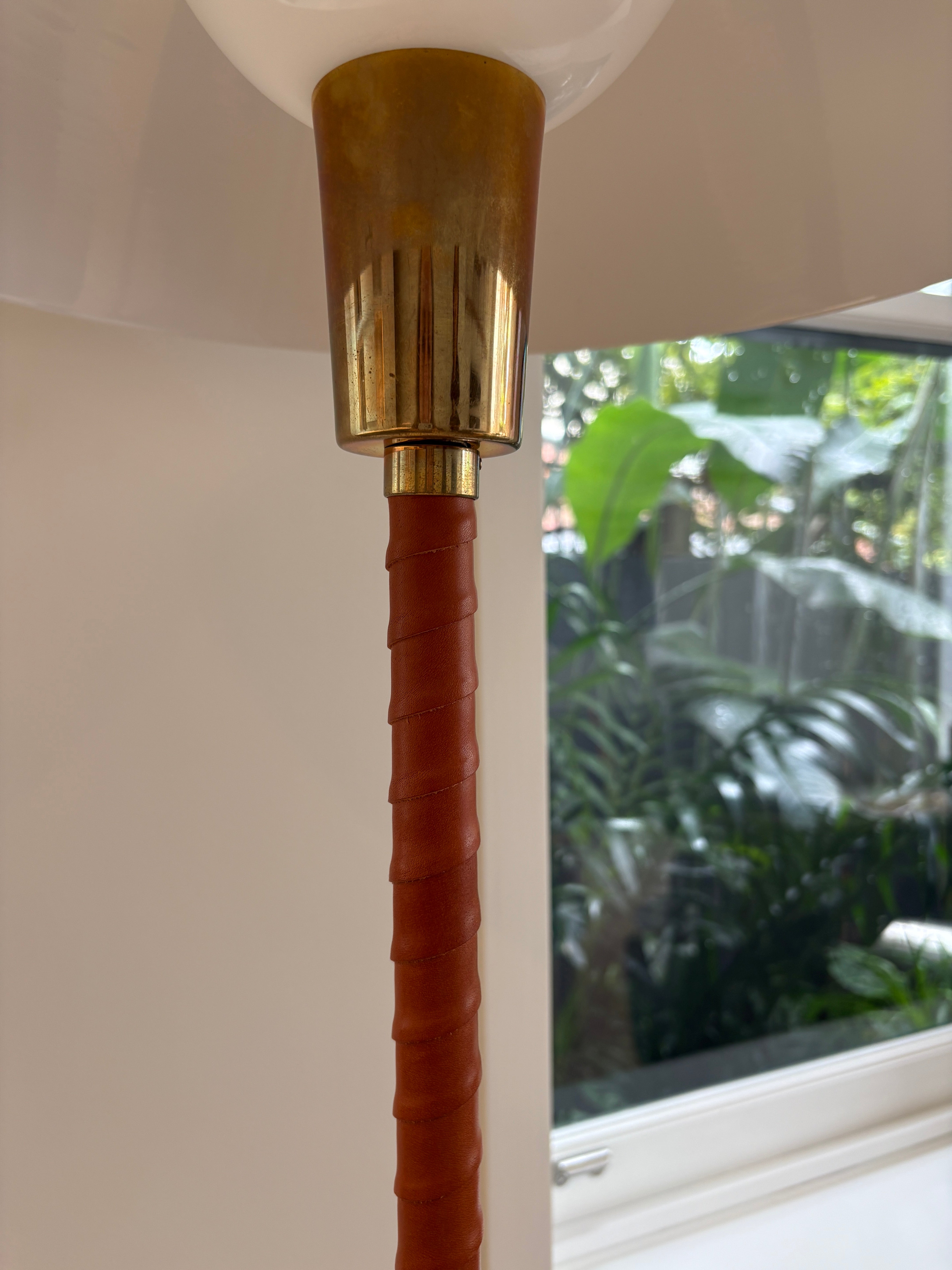 Great Dane x Innolux Senator Floor Lamp