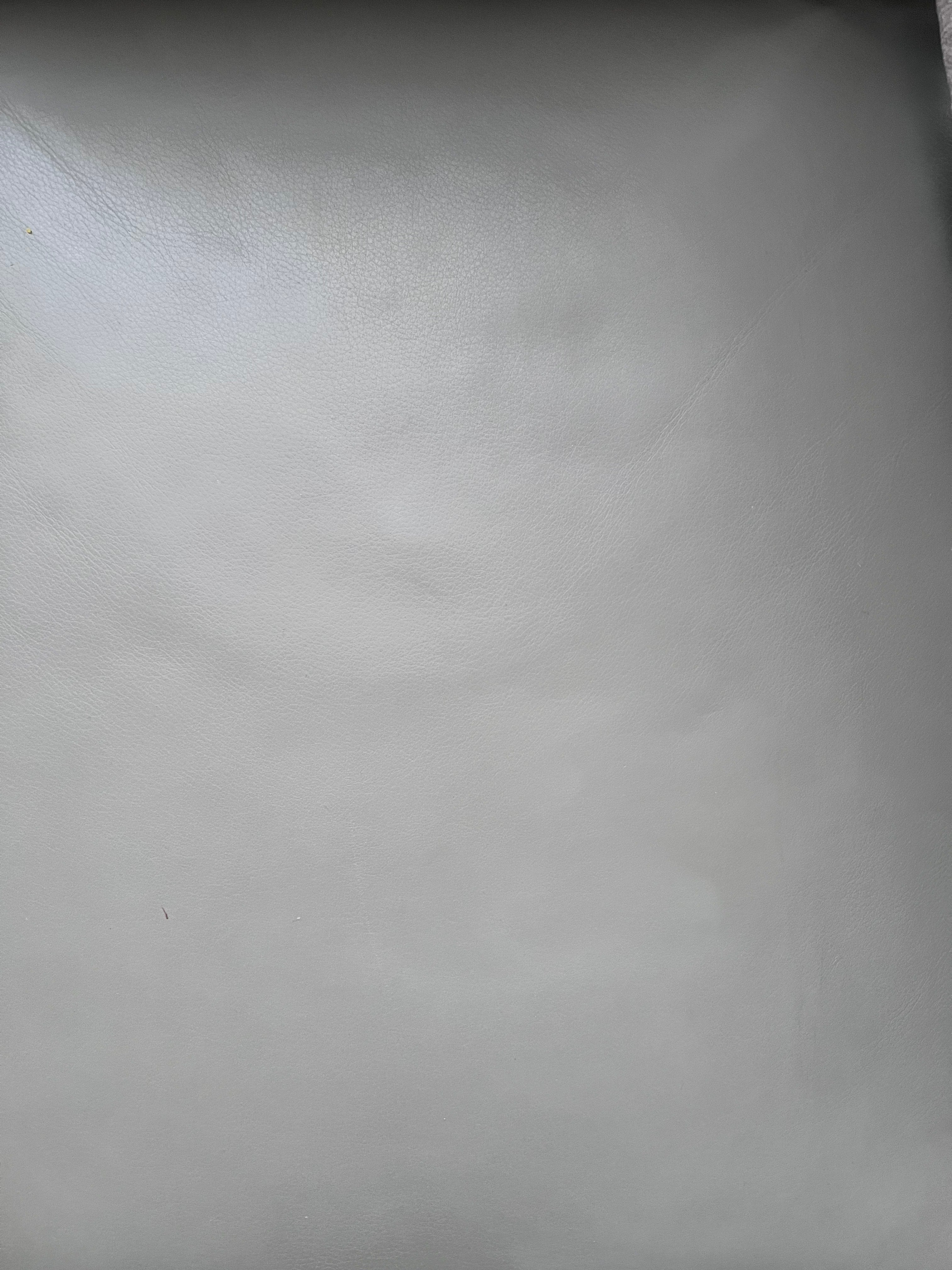 Camerich Venus Lounge Chair, Pair