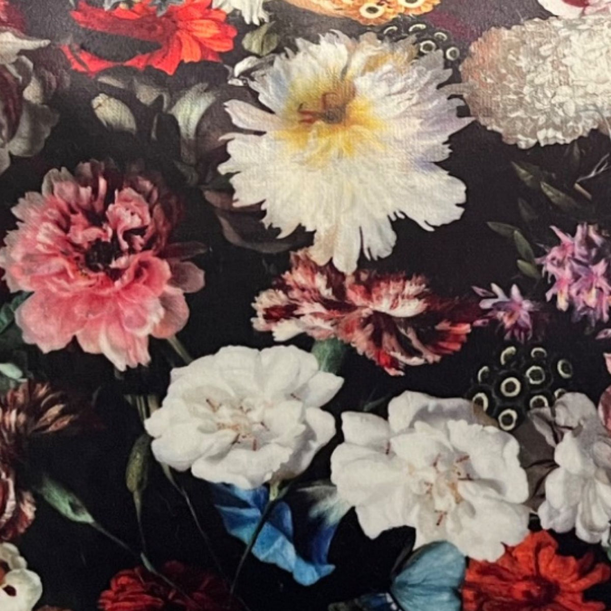 Warwick Flowerbomb Fabric Cushions, 2 available (RRP $300)