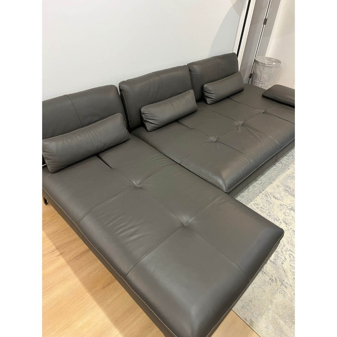 Roche Bobois sofa