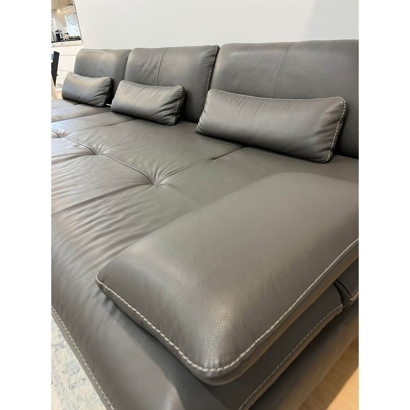 Roche Bobois sofa