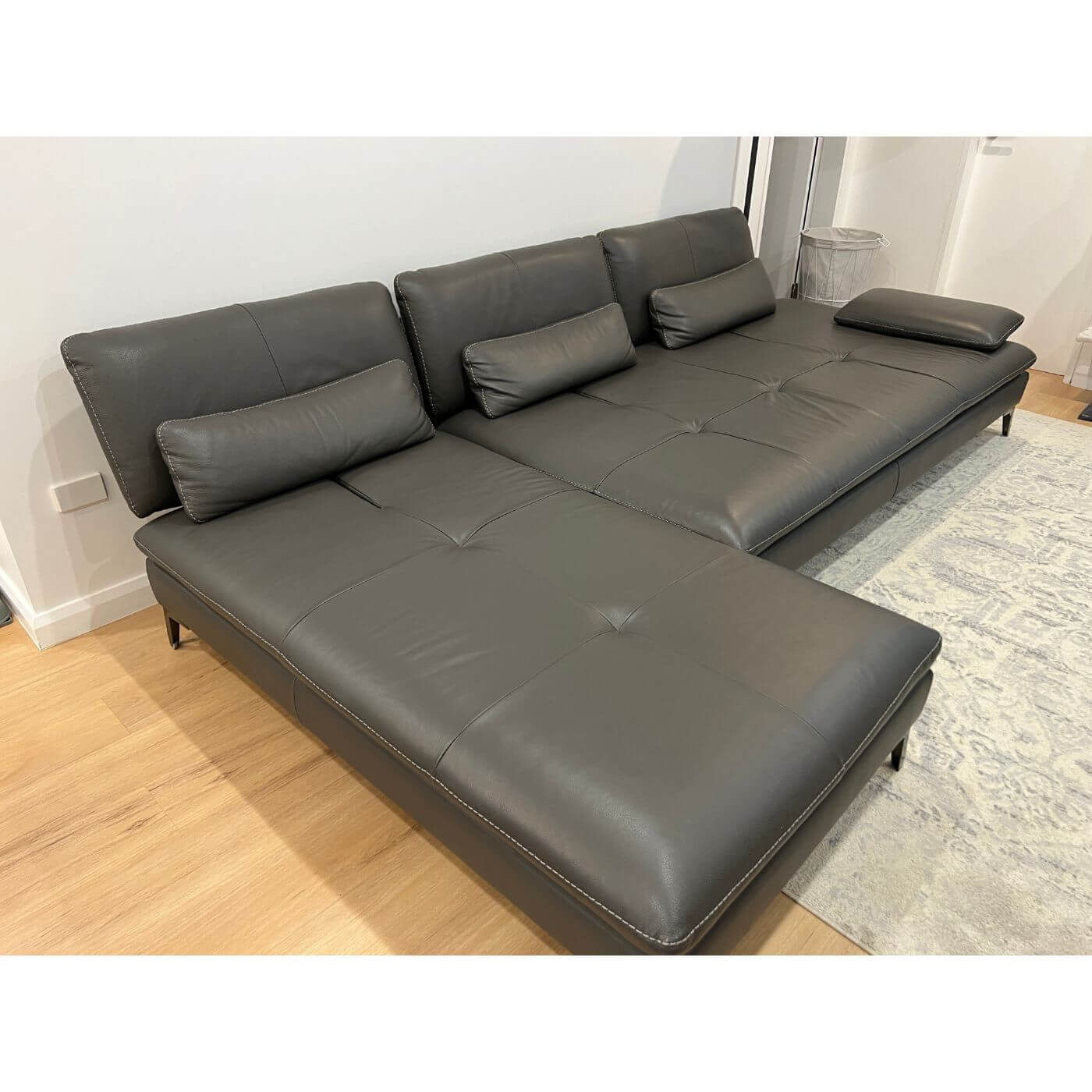 Roche Bobois sofa