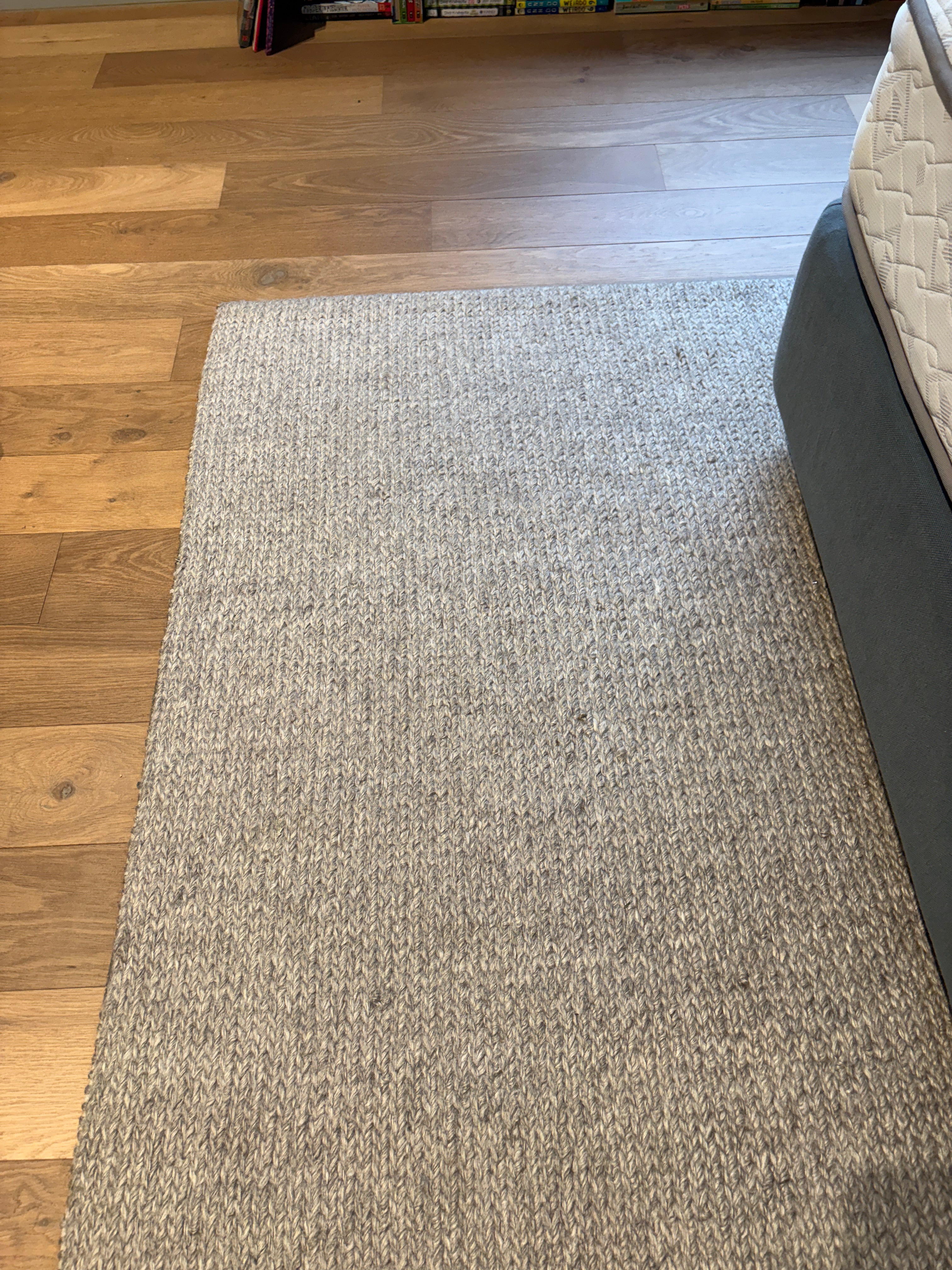 Armadillo Rug