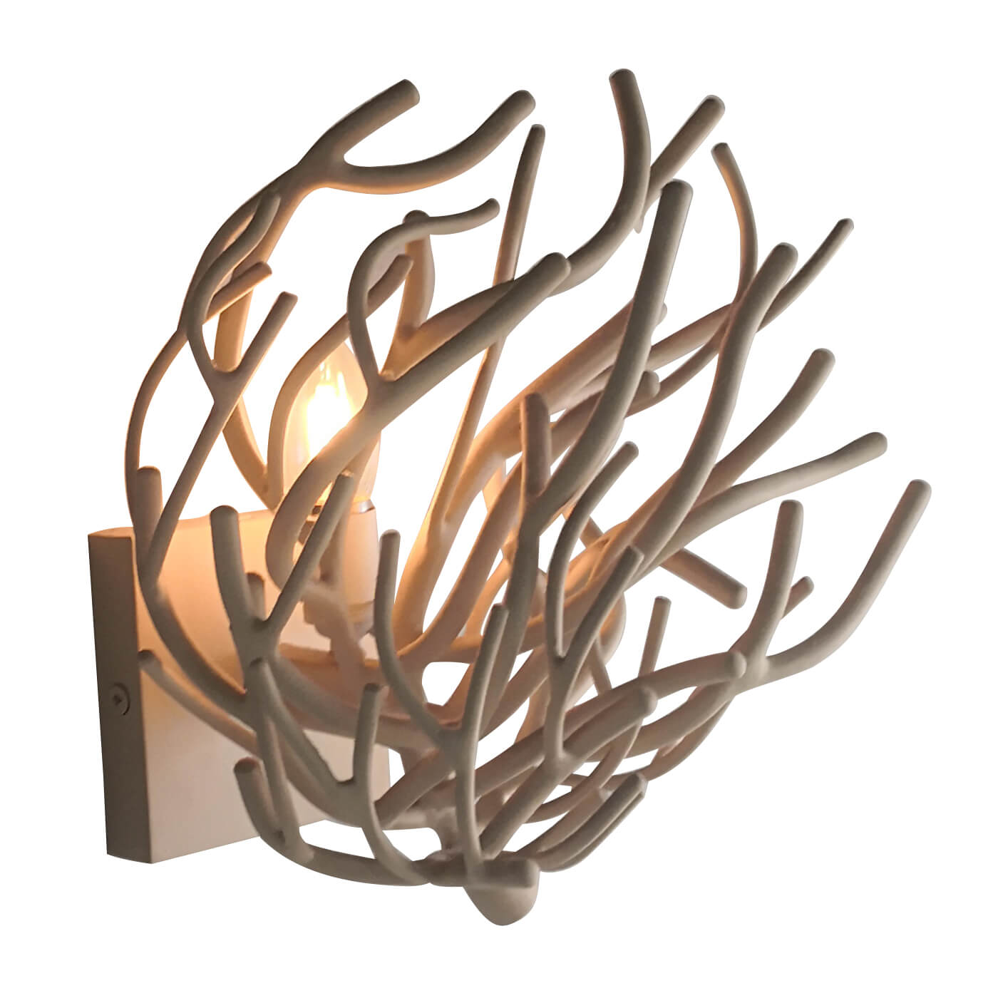 coral wall sconces, pair