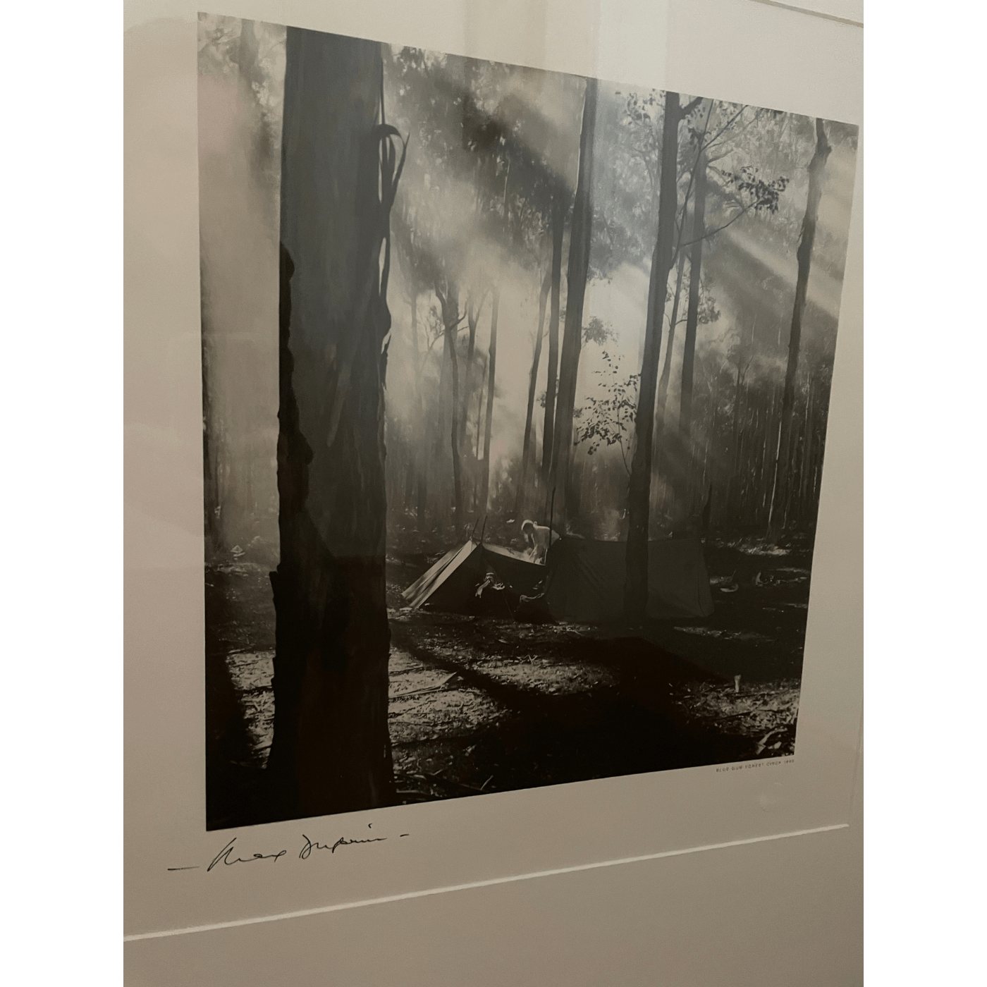 Two-Design Lovers Max Dupain Print, Blue Gum Forest Circa 1940