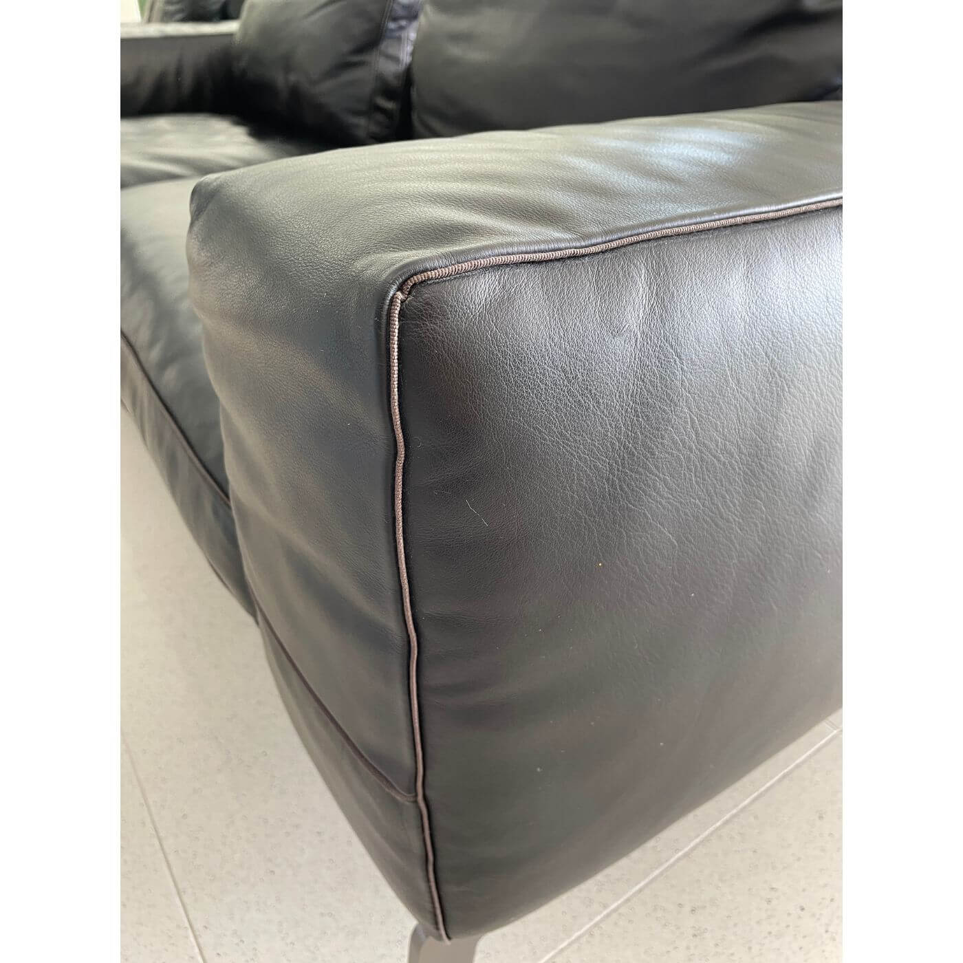 Flexform Lifesteel Sofa